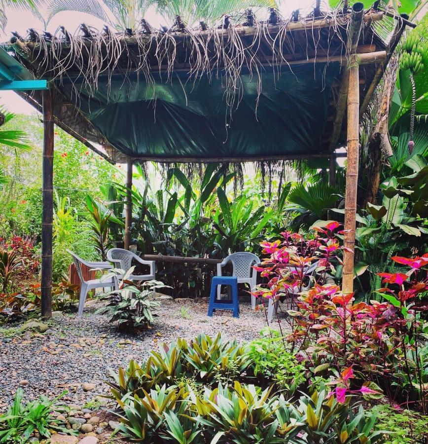 Hidden Jungle Beach House Puerto Viejo de Talamanca Exterior photo